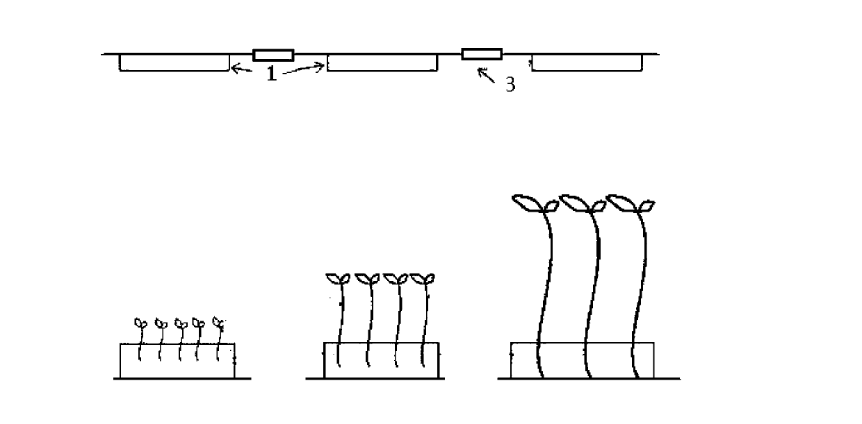 Movable type artificial planting light source control system
