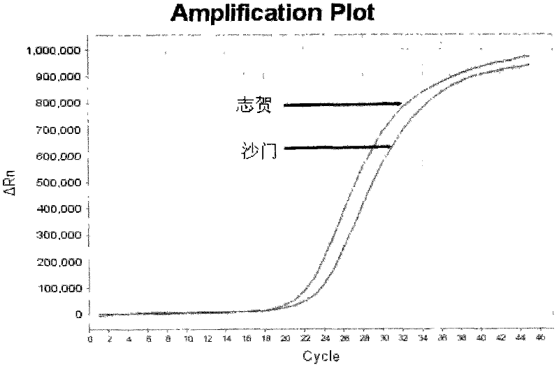 Salmonella/Shigella dual fluorescent PCR detection kit