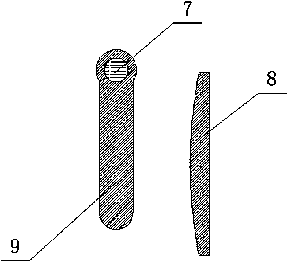 Intelligent regular fish-feeding system