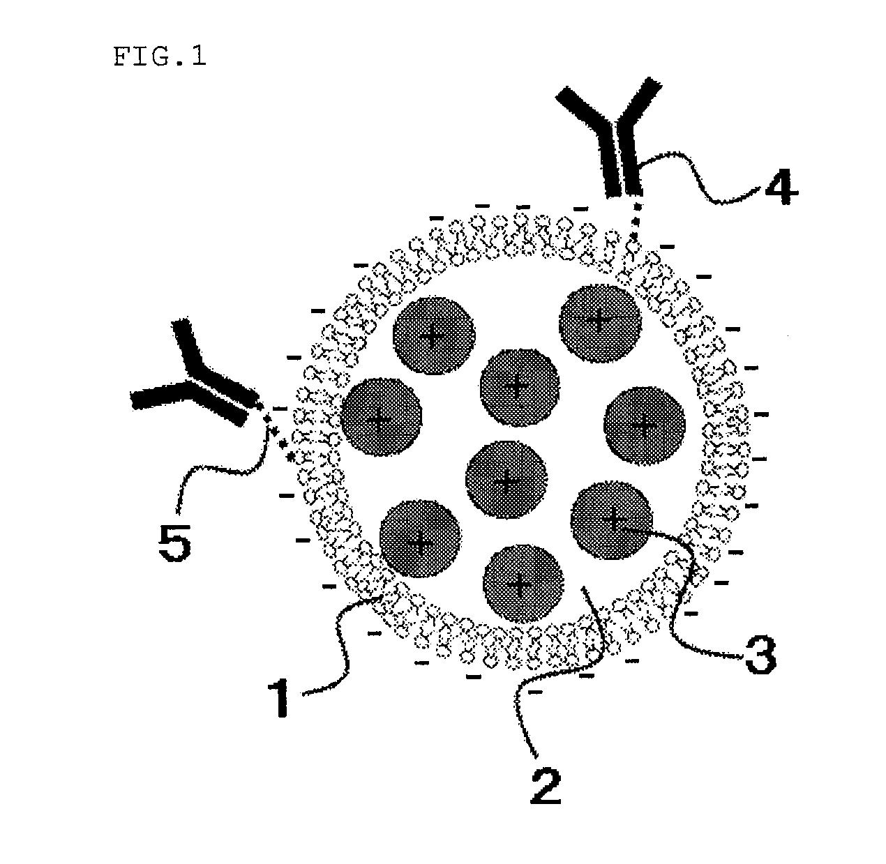 Liposome composition, its production process, and method for analyzing analyte using the same