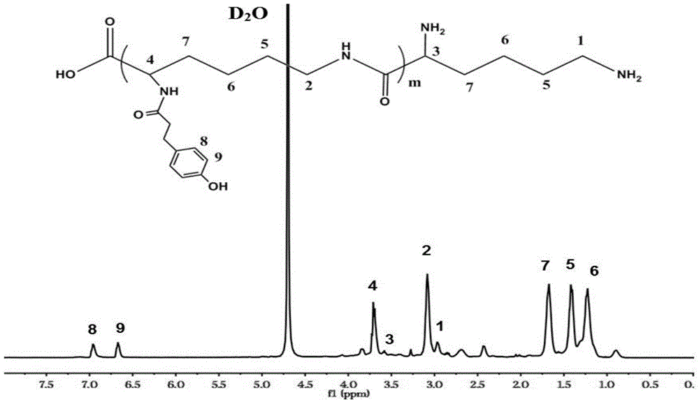 Epsilon-polylysine-p-hydroxybenzene propanoic acid antibiotic hydrogel dressing and preparation method thereof