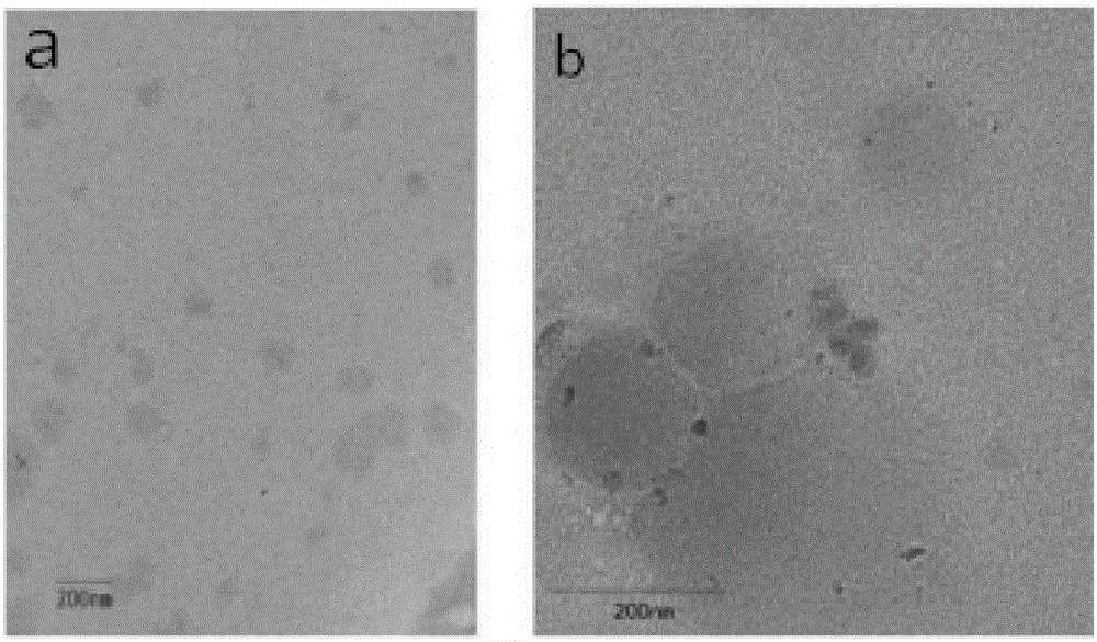 Preparation method and applications of gambogic acid self-assembled polymer nanoparticles