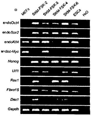 Improved methods for reprograming non-pluripotent cells into pluripotent stem cells