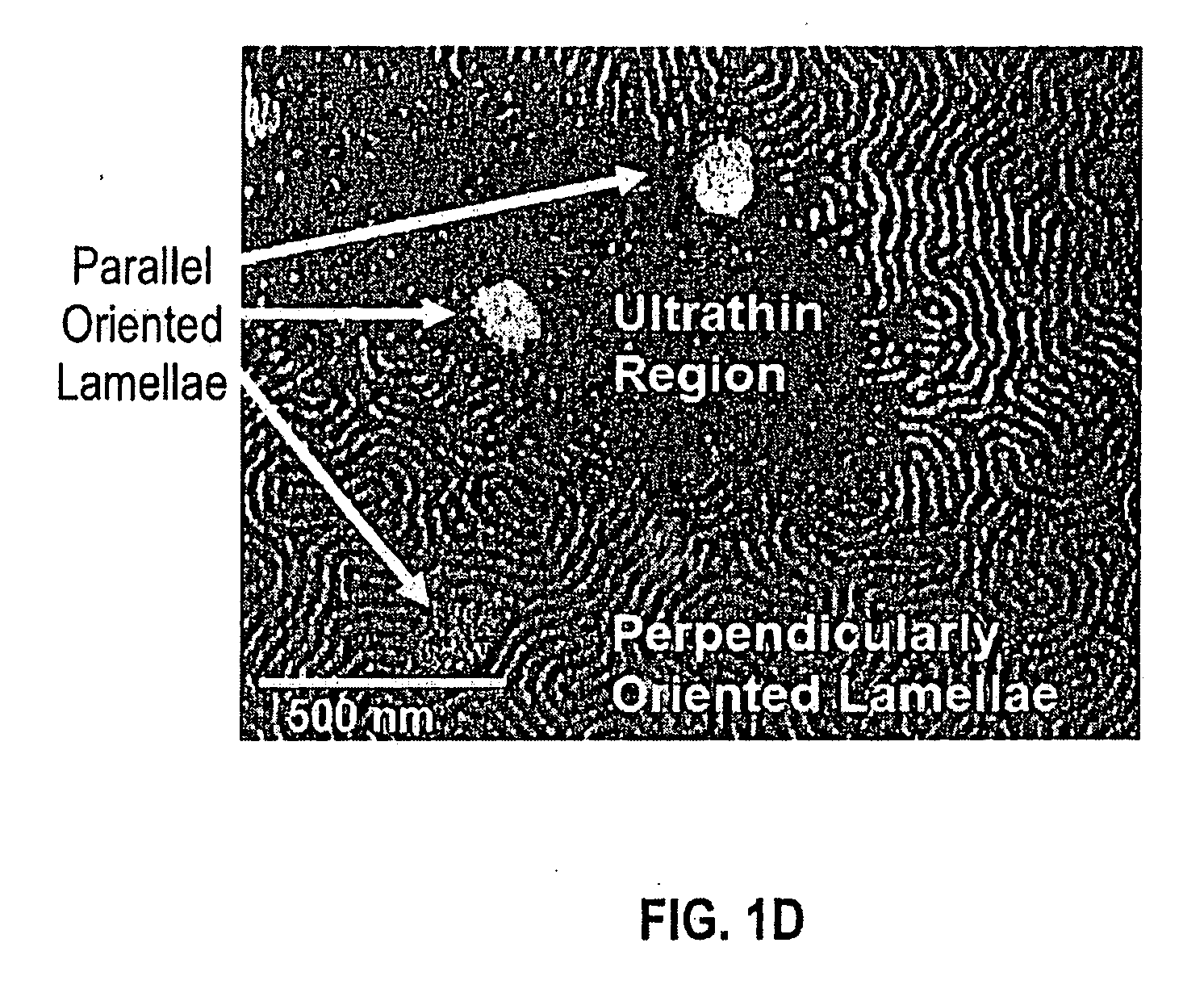 Method of Controlling Orientation of Domains in Block Copolymer Films