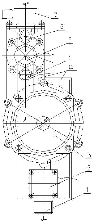 Water circulation type electric heating device