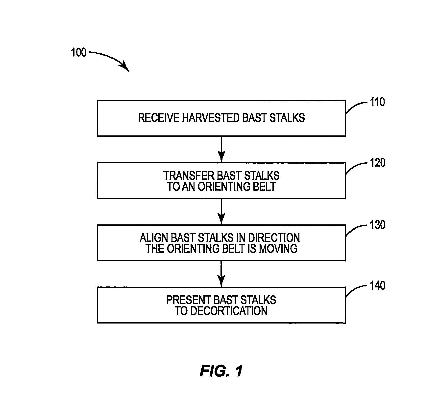 Process and apparatus for orienting bast stalks for decortication