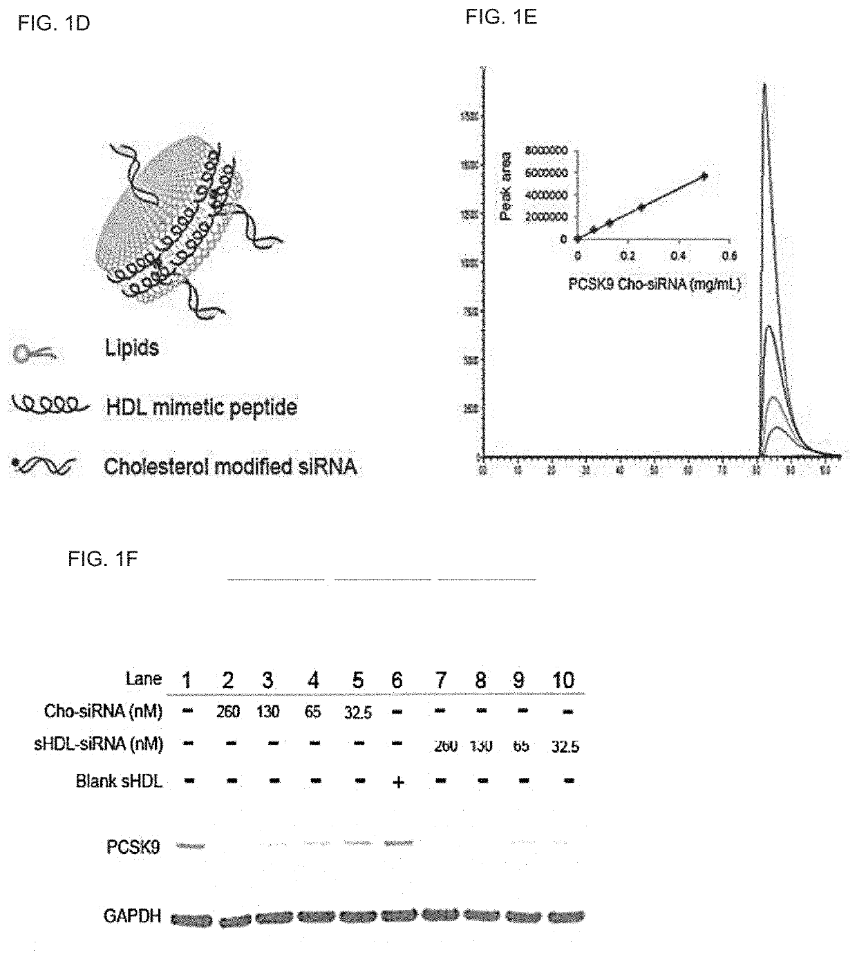 Compositions and methods for delivery of biomacromolecule agents