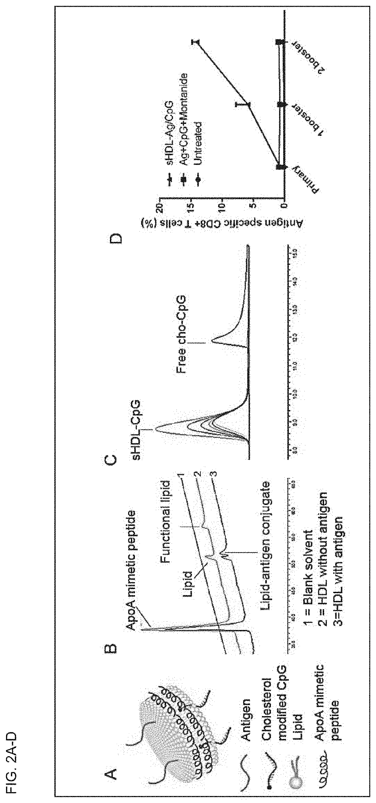 Compositions and methods for delivery of biomacromolecule agents