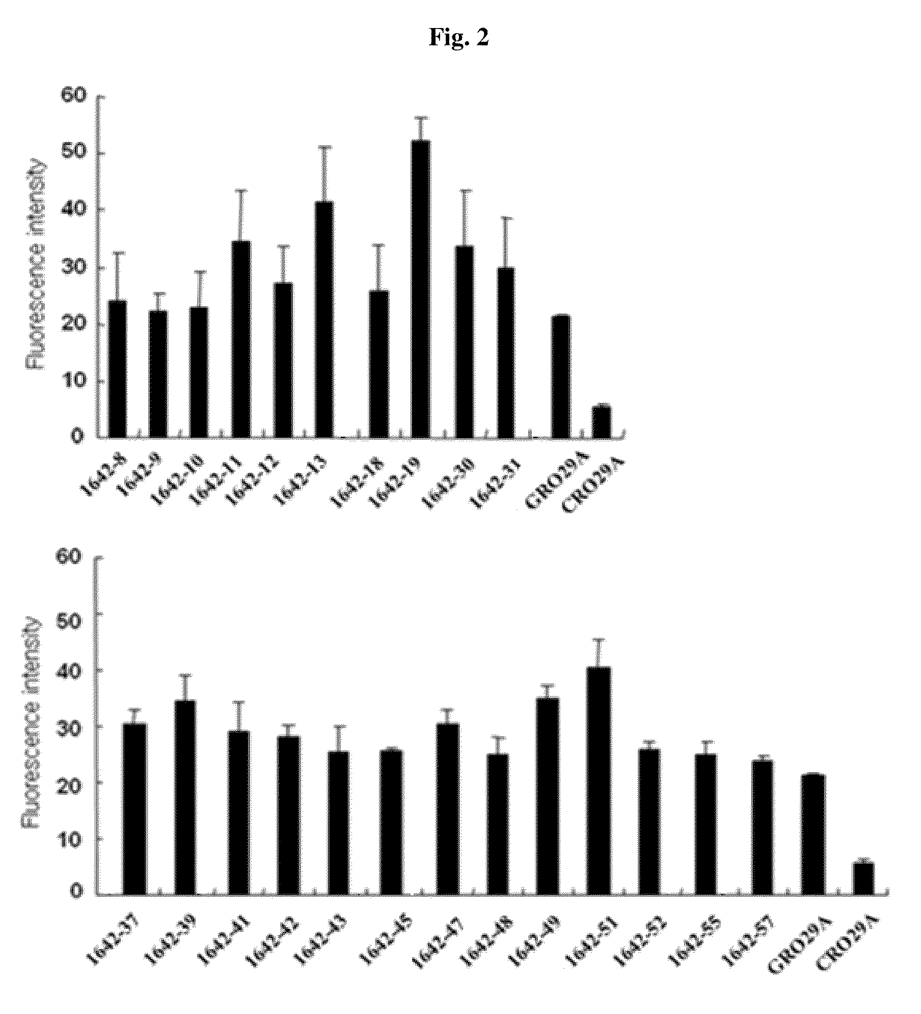 Nucleolin Specific Aptamer and Use thereof