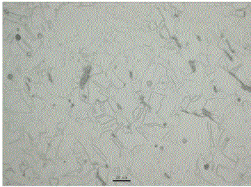 A kind of nonmagnetic stainless steel with high molybdenum content and its manufacturing method