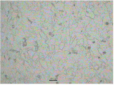 A kind of nonmagnetic stainless steel with high molybdenum content and its manufacturing method