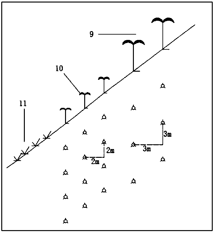 A Reconstruction Method of Ecological Agriculture in Coal Mining Subsidence and Waterlogging Area