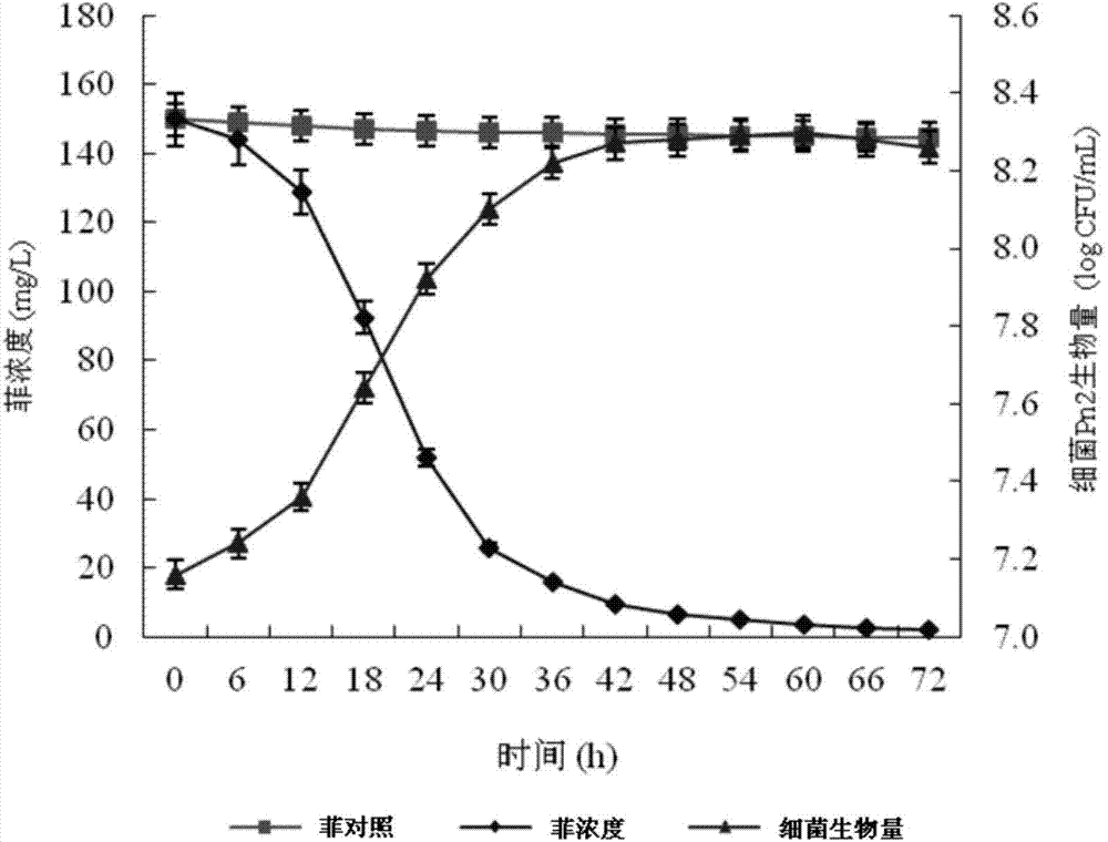 Plant-growth-promoting endophytic bacterium having polycyclic aromatic hydrocarbons degrading function and application thereof
