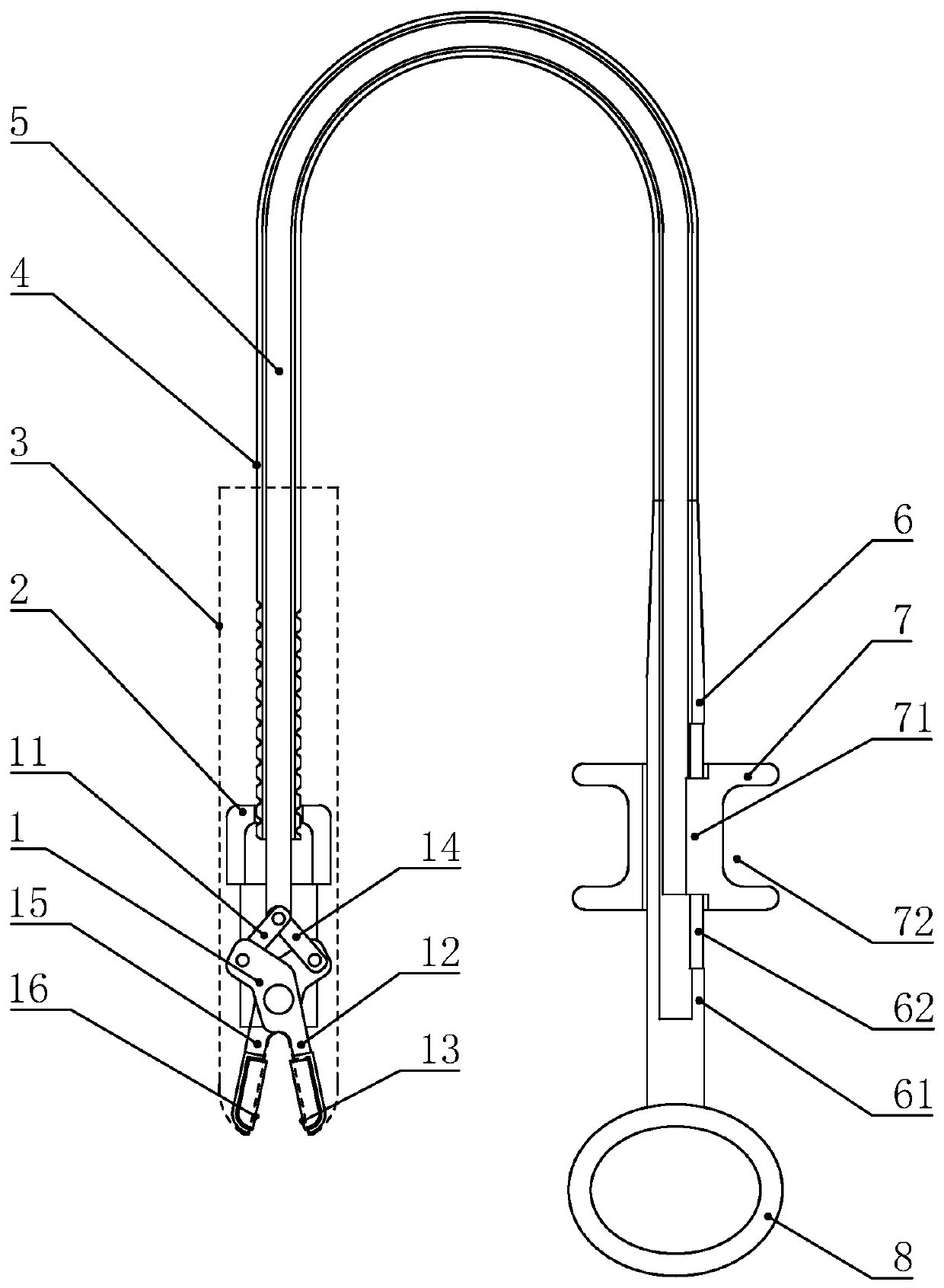 Novel biopsy forceps