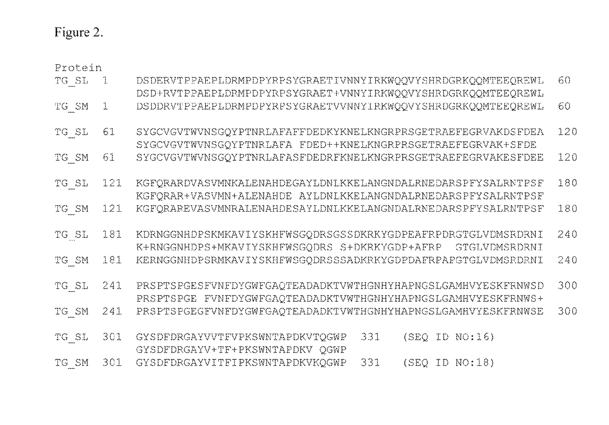 Homogenous antibody drug conjugates via enzymatic methods