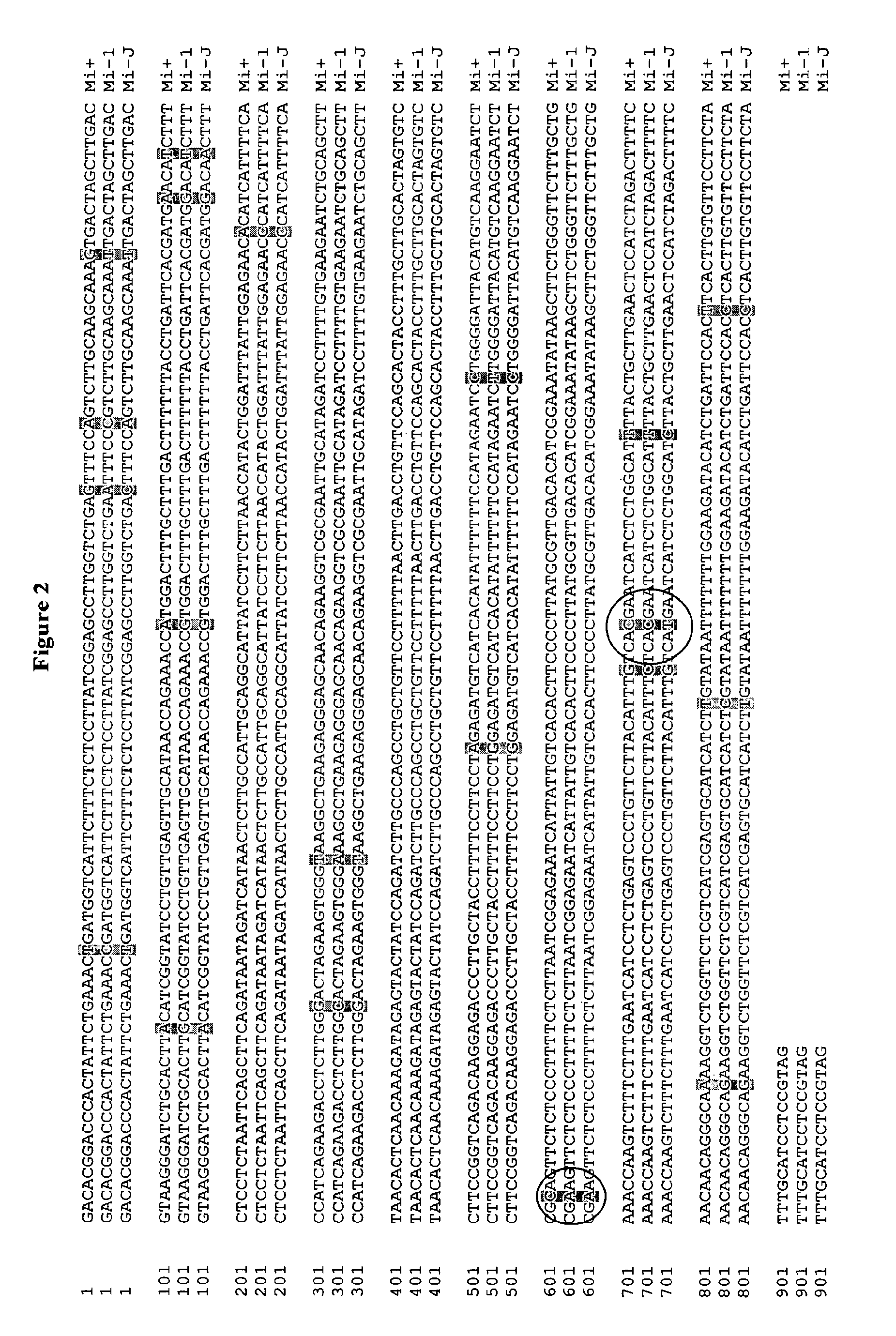 Methods for coupling resistance alleles in tomato