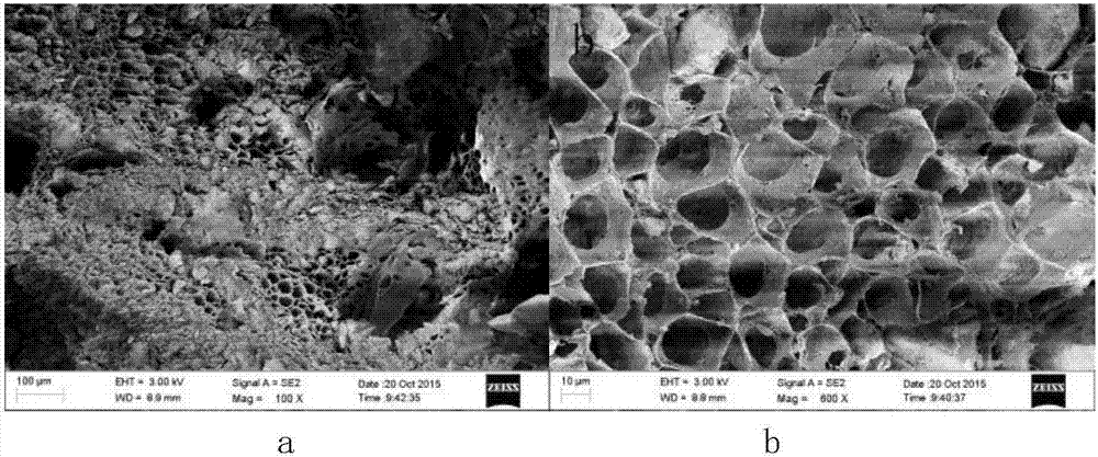 Ionic liquid crosslinked chitosan modified zeolite adsorbent material, preparation method and application thereof