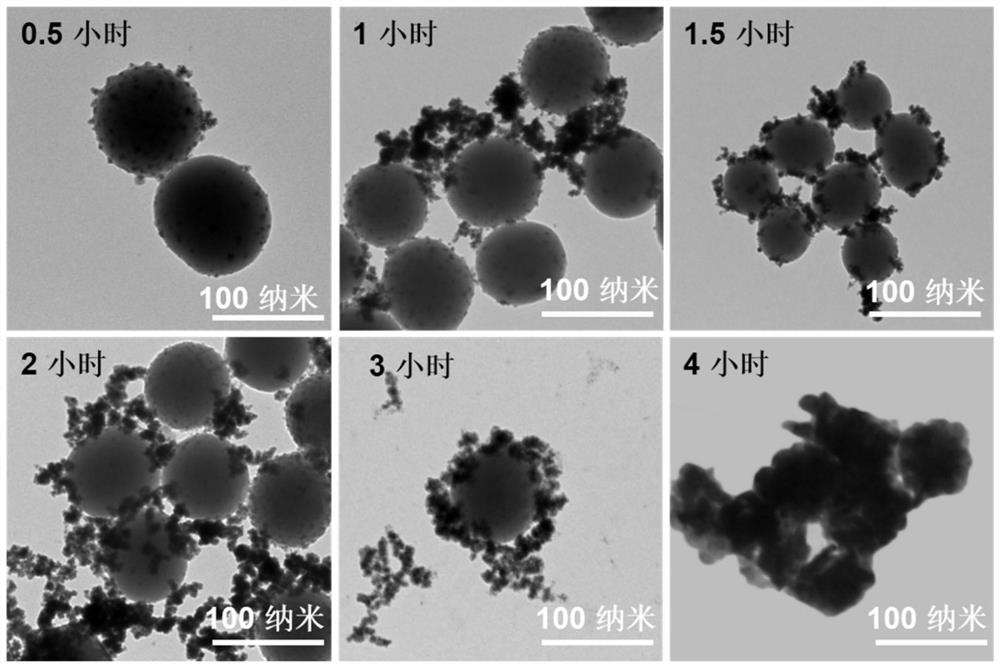Mesoporous ruthenium nanoparticles for targeted therapy of colorectal cancer, preparation method and application thereof
