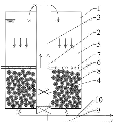 Method for implementing rapid start of short-cut nitrification and denitrification to treat wastewater by preposed pre-oxidation