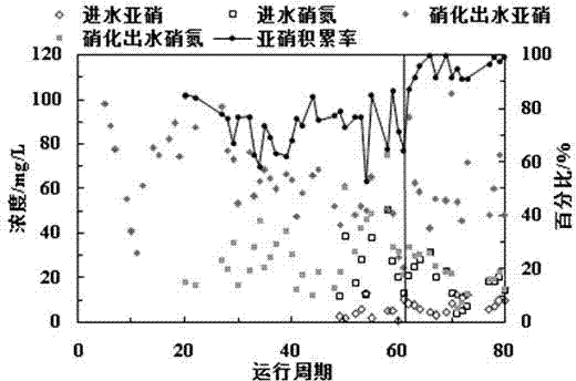 Method for implementing rapid start of short-cut nitrification and denitrification to treat wastewater by preposed pre-oxidation