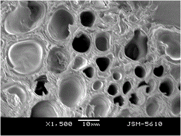 Method for preparing superabsorbent resin based on waste woody plant branches