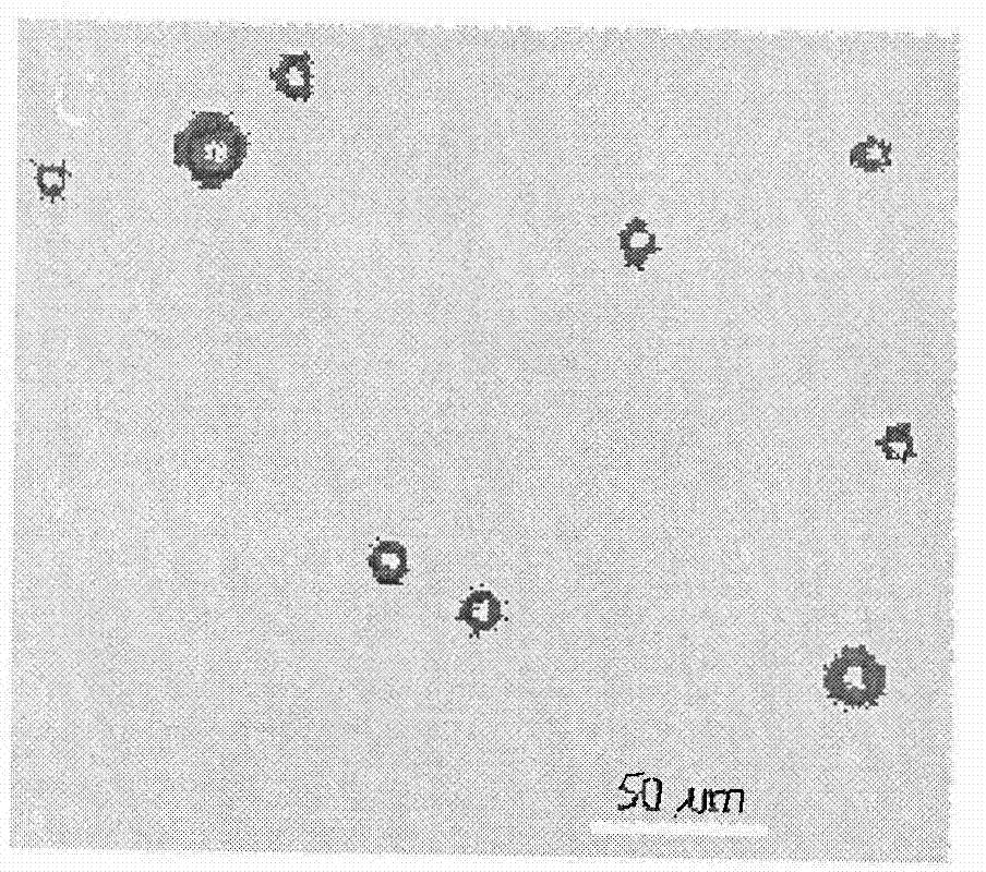 Method for producing polyacrylamide microsphere water shutoff agent