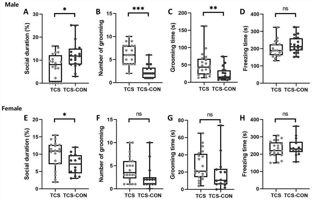 Application of lactobacillus plantarum ST-III in preparation of product for treating autism