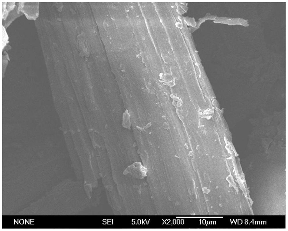 A strain of Bacillus subtilis and its culture method and application