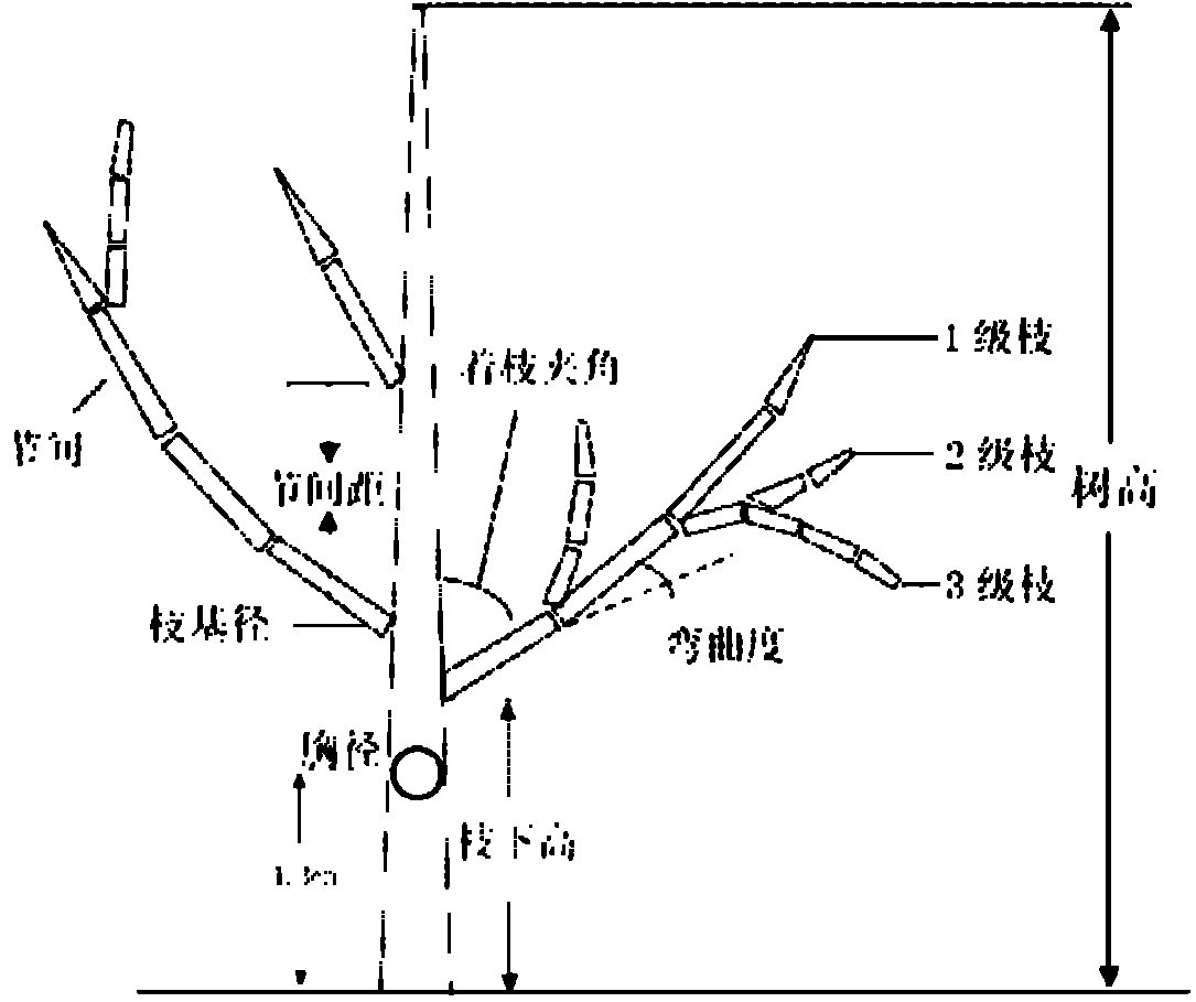 Tree simulation method based on generalized parametric modeling