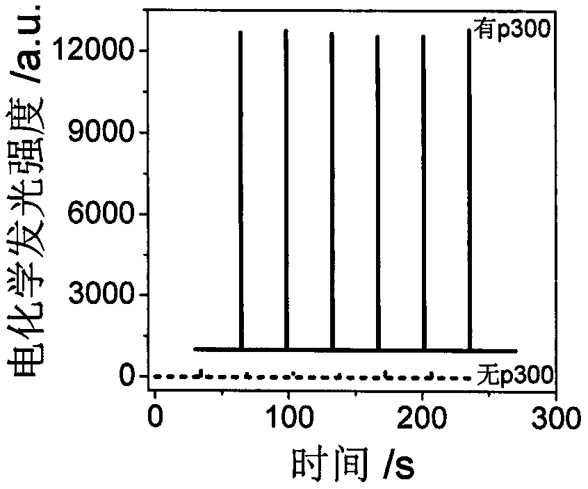 Manufactured histone acetyltransferase electrochemiluminescence biosensor based on DNA nano-prism and application of histone acetyltransferase electrochemiluminescence biosensor