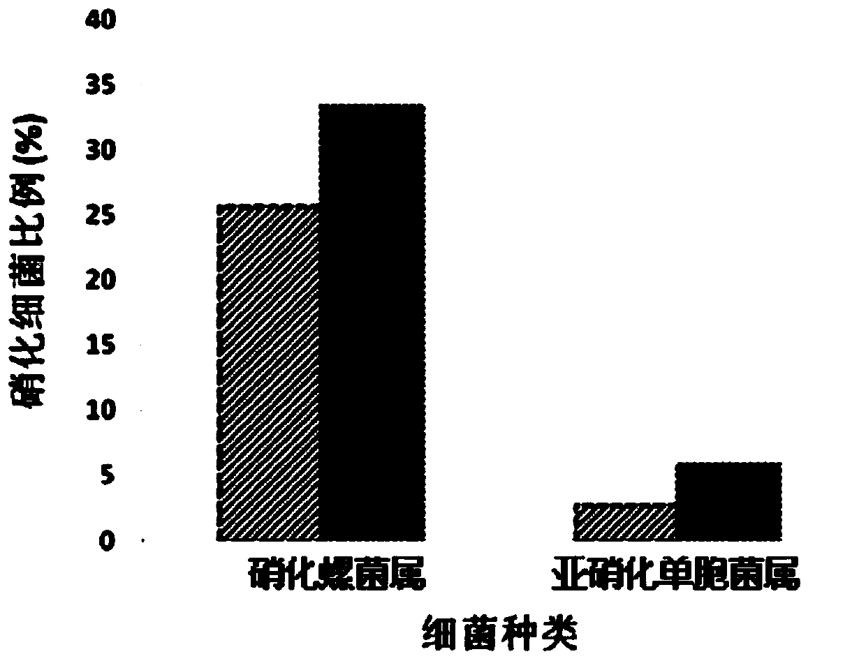 A water treatment method that regulates the rapid start of biofilm nitrification