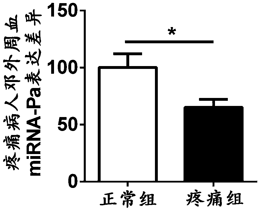 Application of mirna-pa compound in the preparation of diagnostic markers and therapeutic drugs for chronic pain