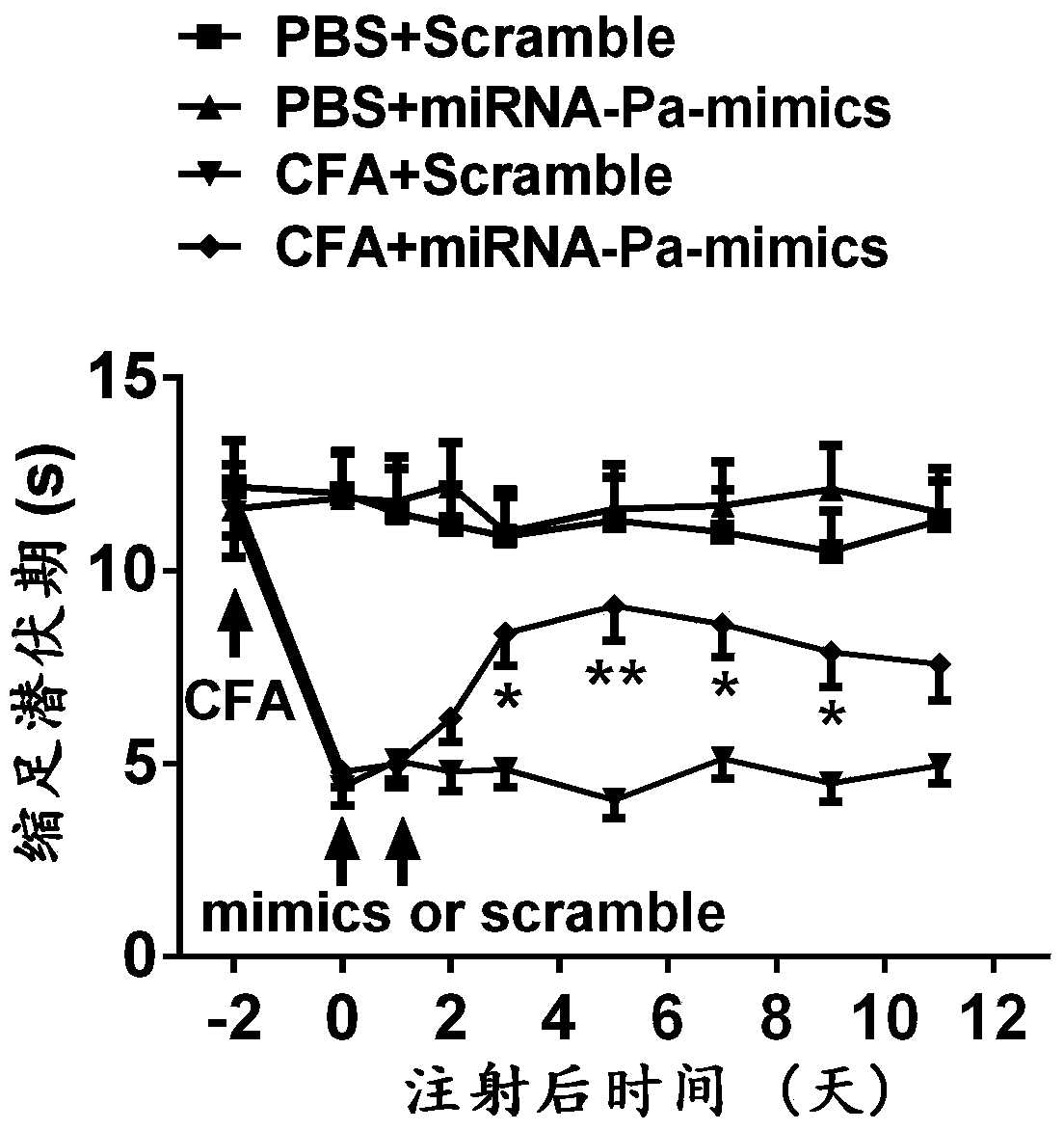 Application of mirna-pa compound in the preparation of diagnostic markers and therapeutic drugs for chronic pain
