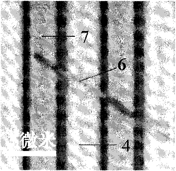 Method for measuring thermal conductivity of single semiconductor nanowire material