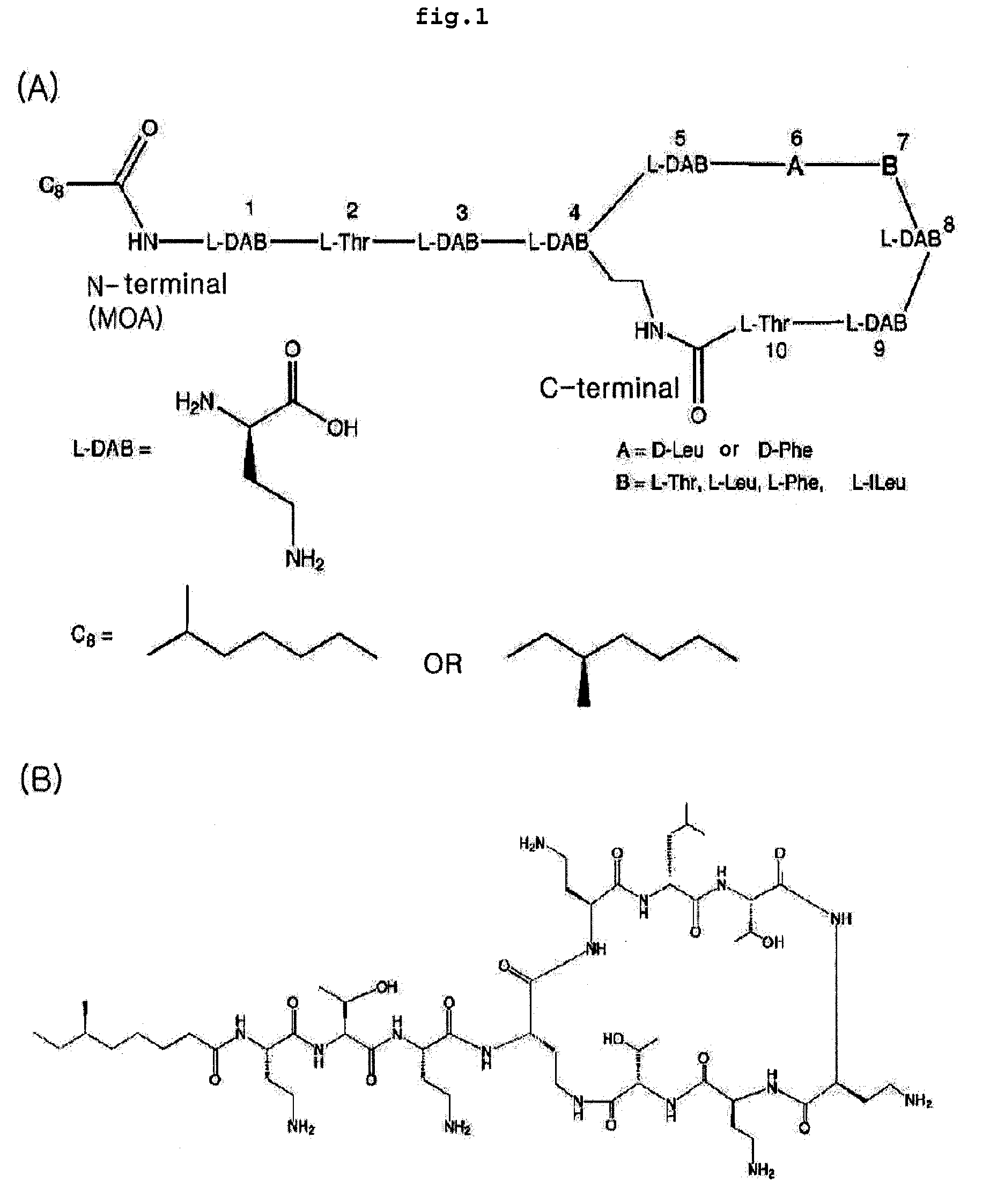 Polymyxin Synthetase and Gene Cluster Thereof