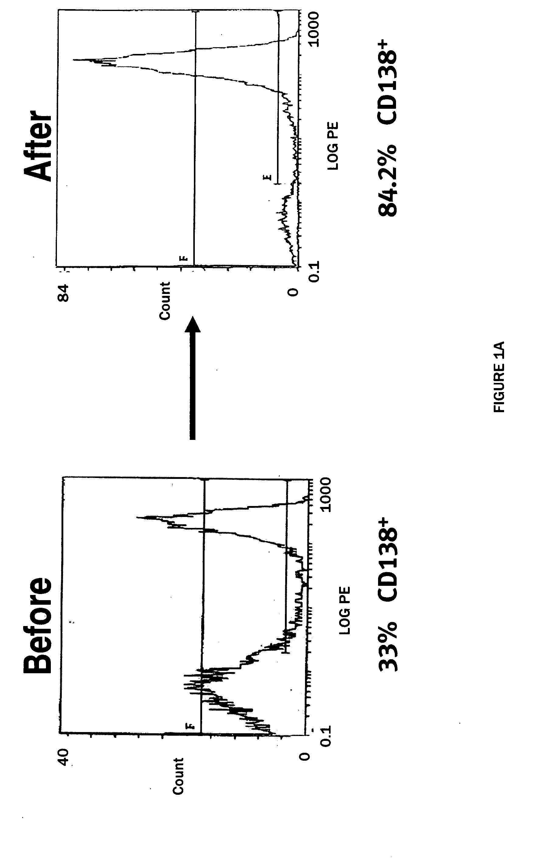 Methods for the identification, assessment, and treatment of patients with cancer therapy