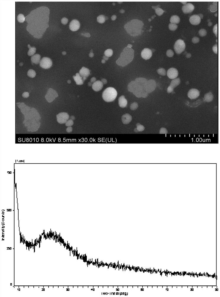 Biological agents and their application to alleviate cadmium stress in leafy vegetable planting soil