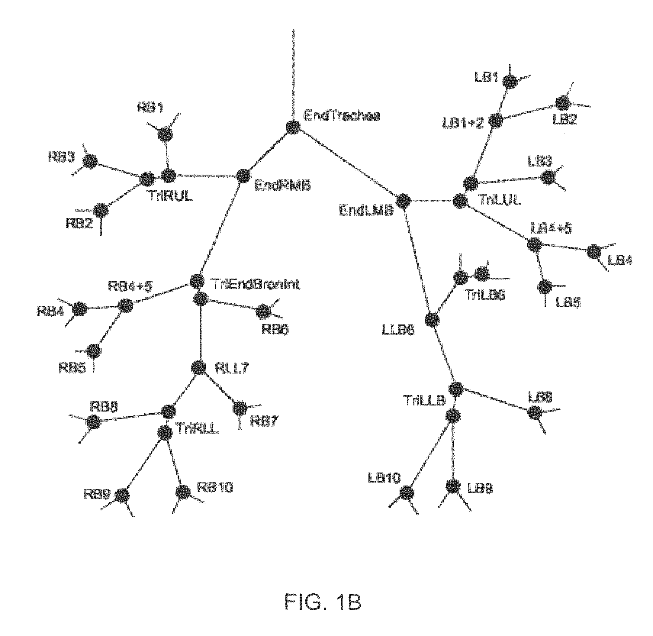 Methods and devices for airway tree labeling and/or matching