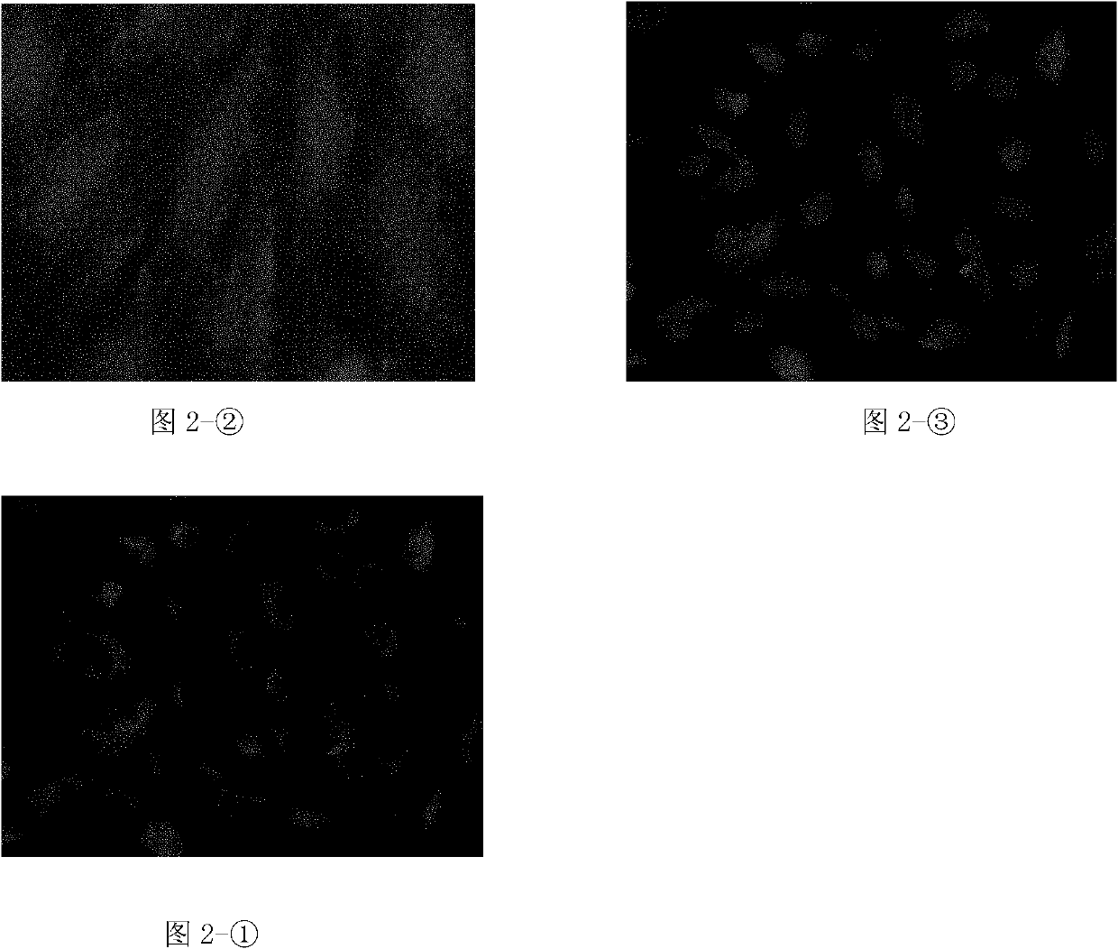 Application of curcuma wenyujin diterpene compound C in drugs for treating gastrointestinal inflammation