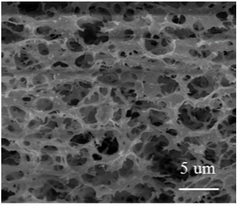 Method for preparing functional porous micro-spheres
