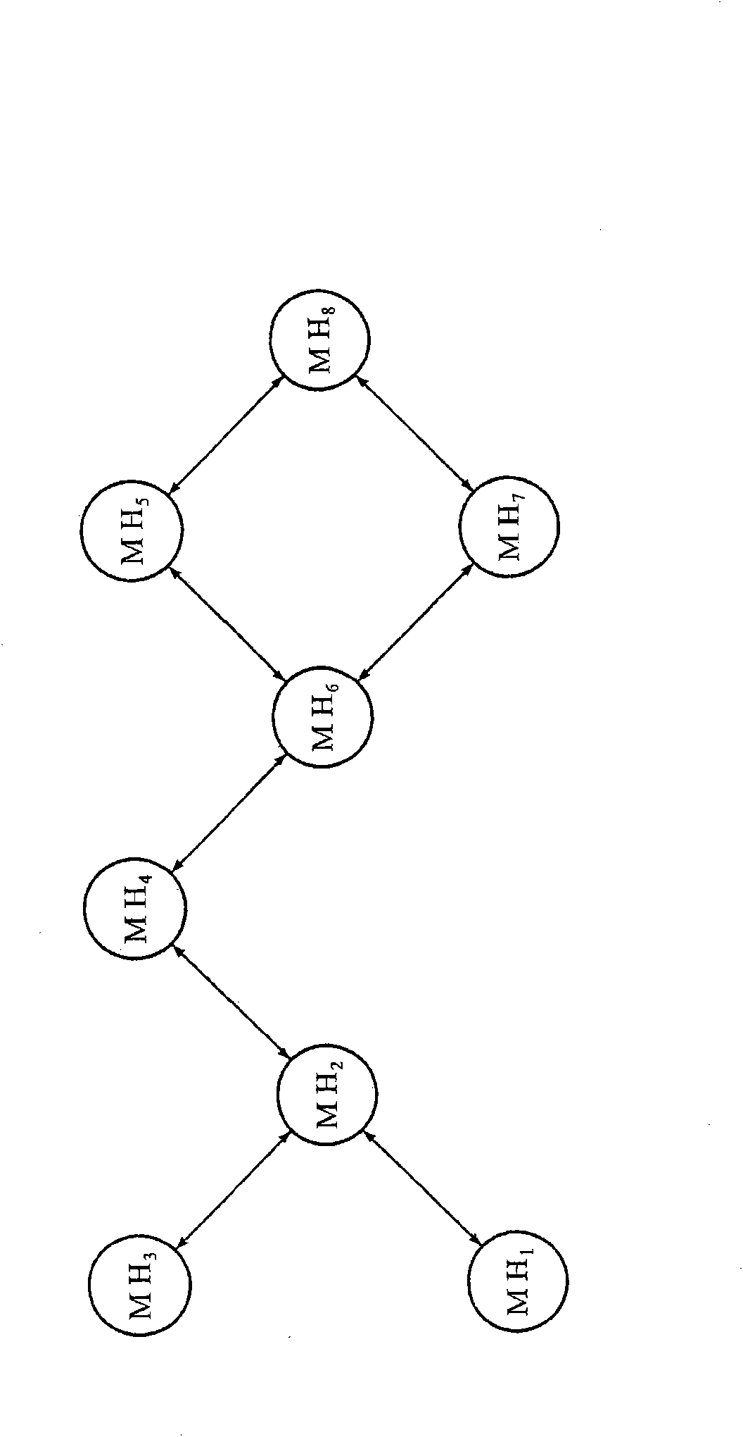 Wireless communication network and routing method