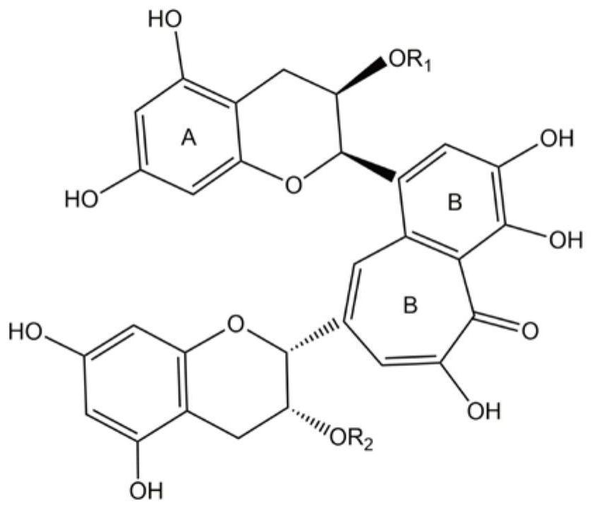 Theaflavin composition and application thereof