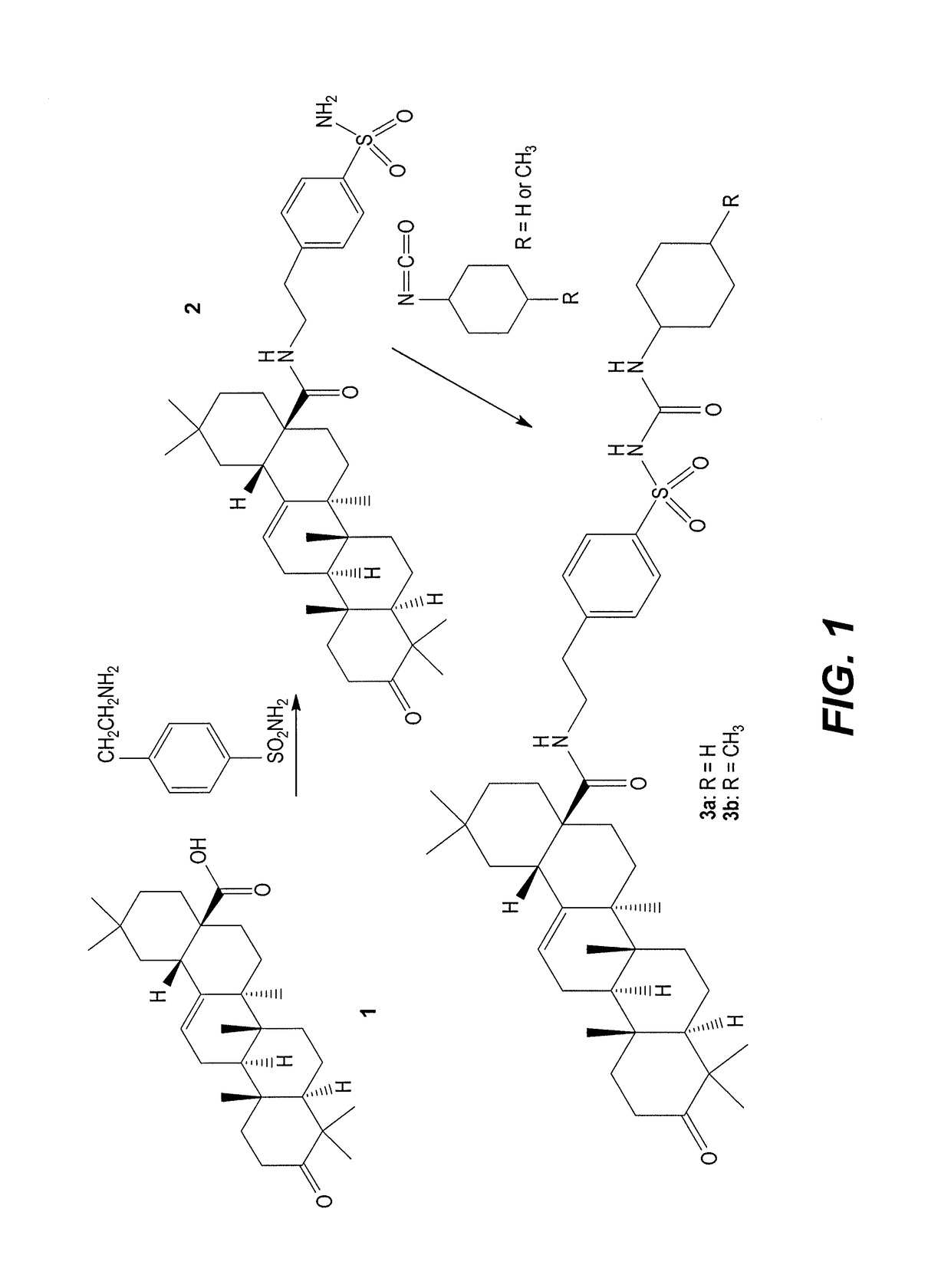 Sulfonylurea derivatives of oleanolic acid