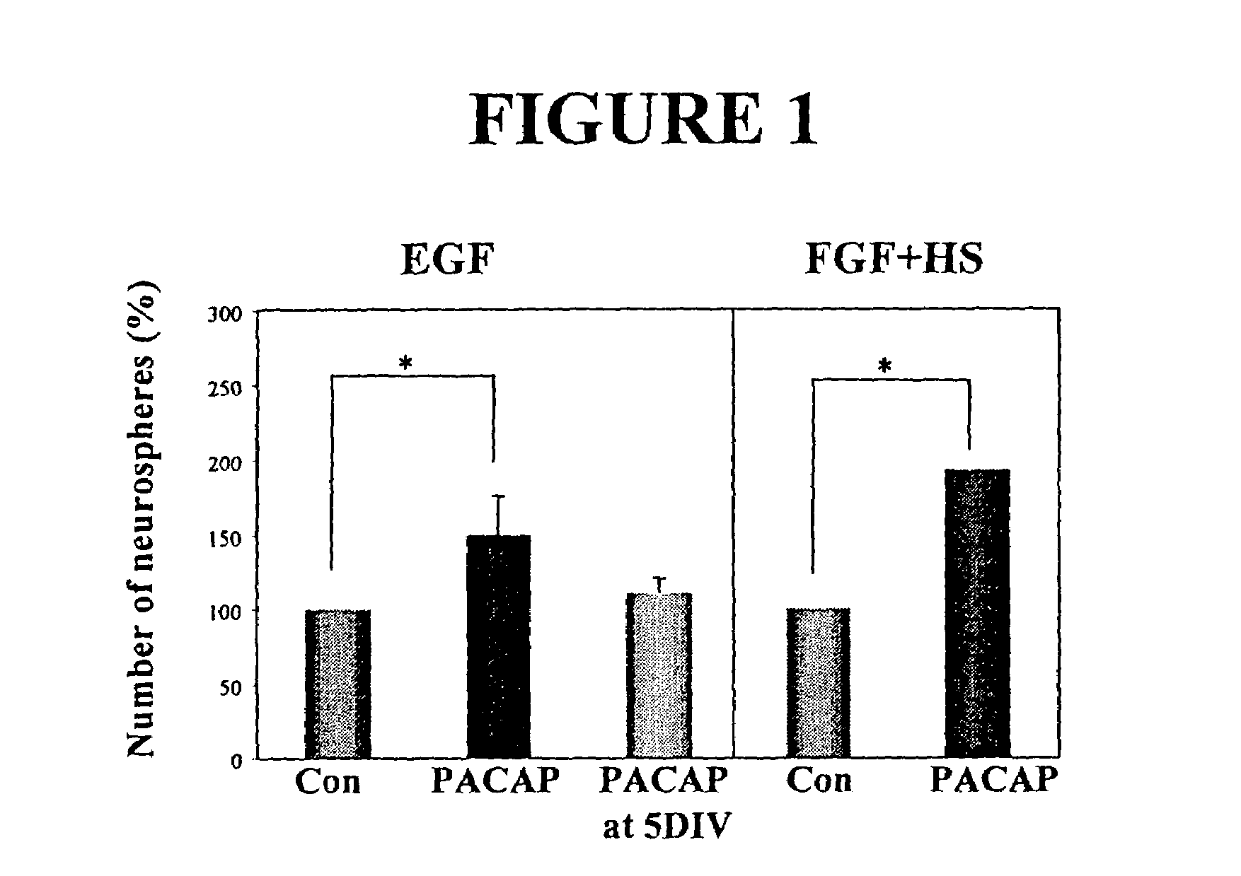 Method of enhancing neural stem cell proliferation, differentiation, and survival using pituitary adenylate cyclase activating polypeptide (PACAP)