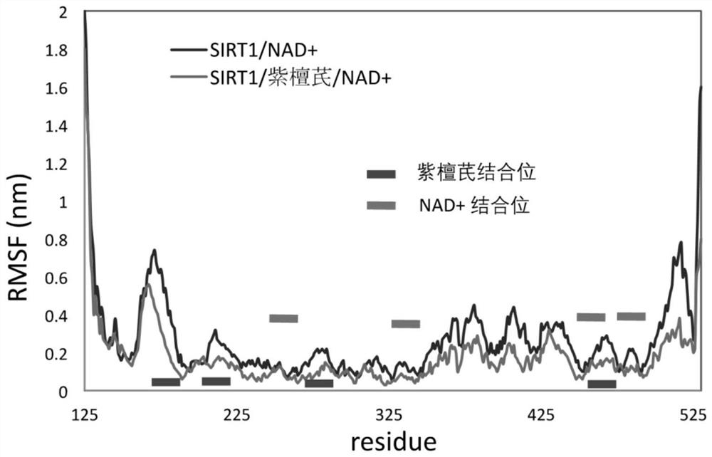 Predicting/validating the effect of activators on the binding effect of sirtuin to nicotinamide adenine