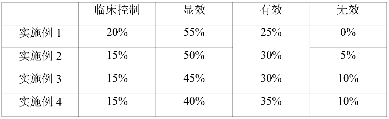 Borneol traditional Chinese medicine paste for preventing female reproductive system disease and preparation method thereof