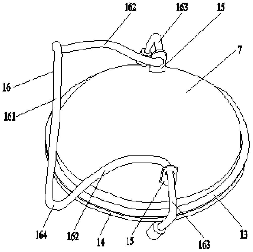 Device for separating and extracting virus in water and method for extracting sapovirus in water