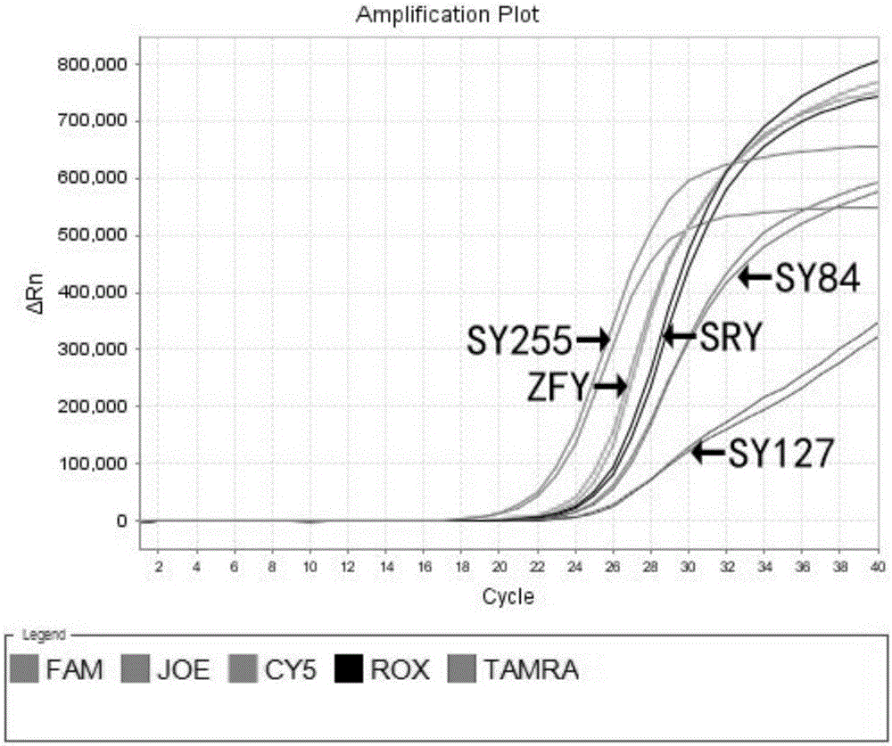 Y chromosome microdeletion detection kit and method