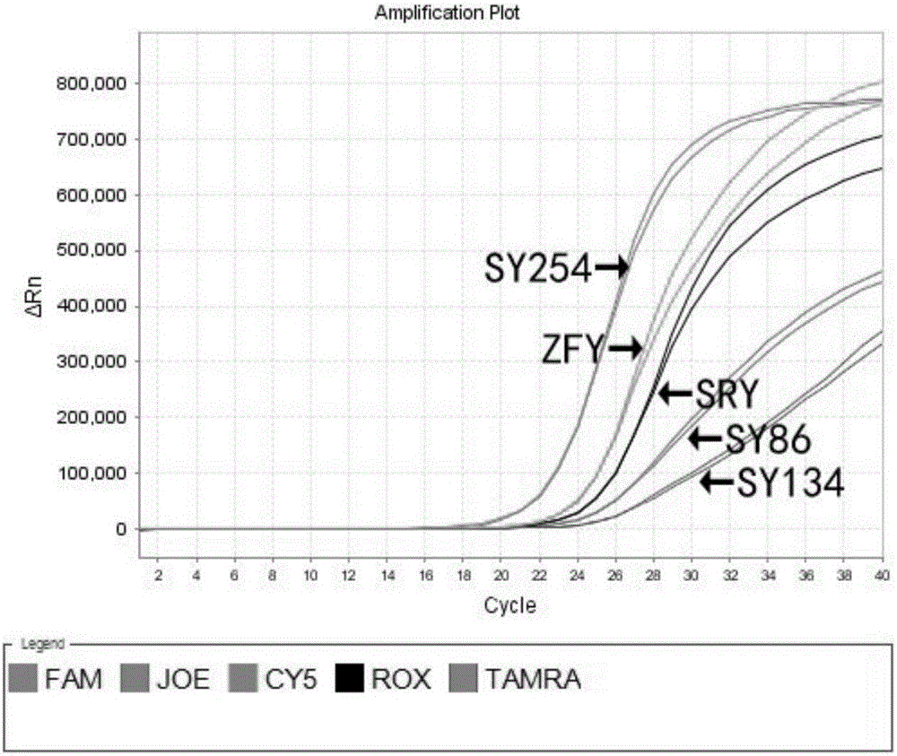 Y chromosome microdeletion detection kit and method