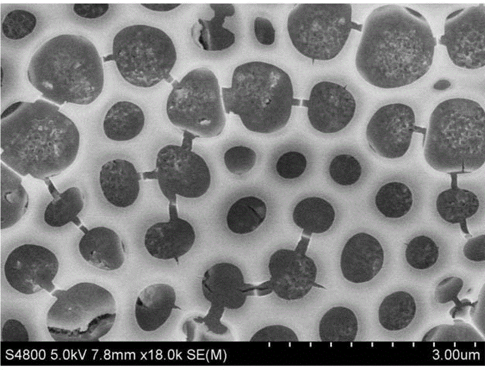 A kind of composite titanium dioxide nanotube array photocatalyst and preparation method thereof